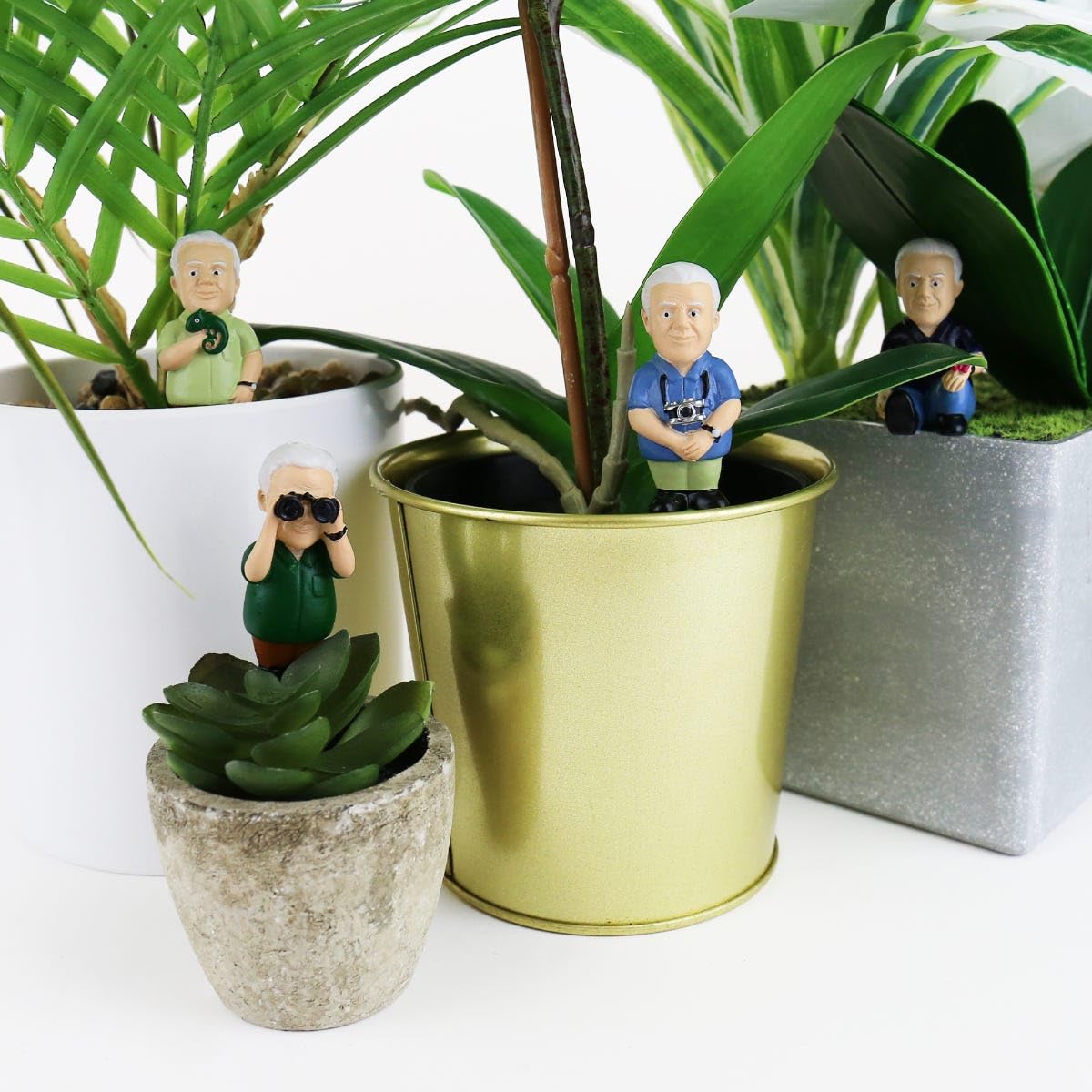 Mini exploradores Attenborough – Marcadores decorativos para macetas