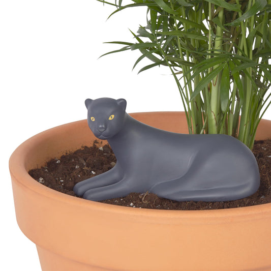 PantherDrop – Autorriego feroz, plantas felices
