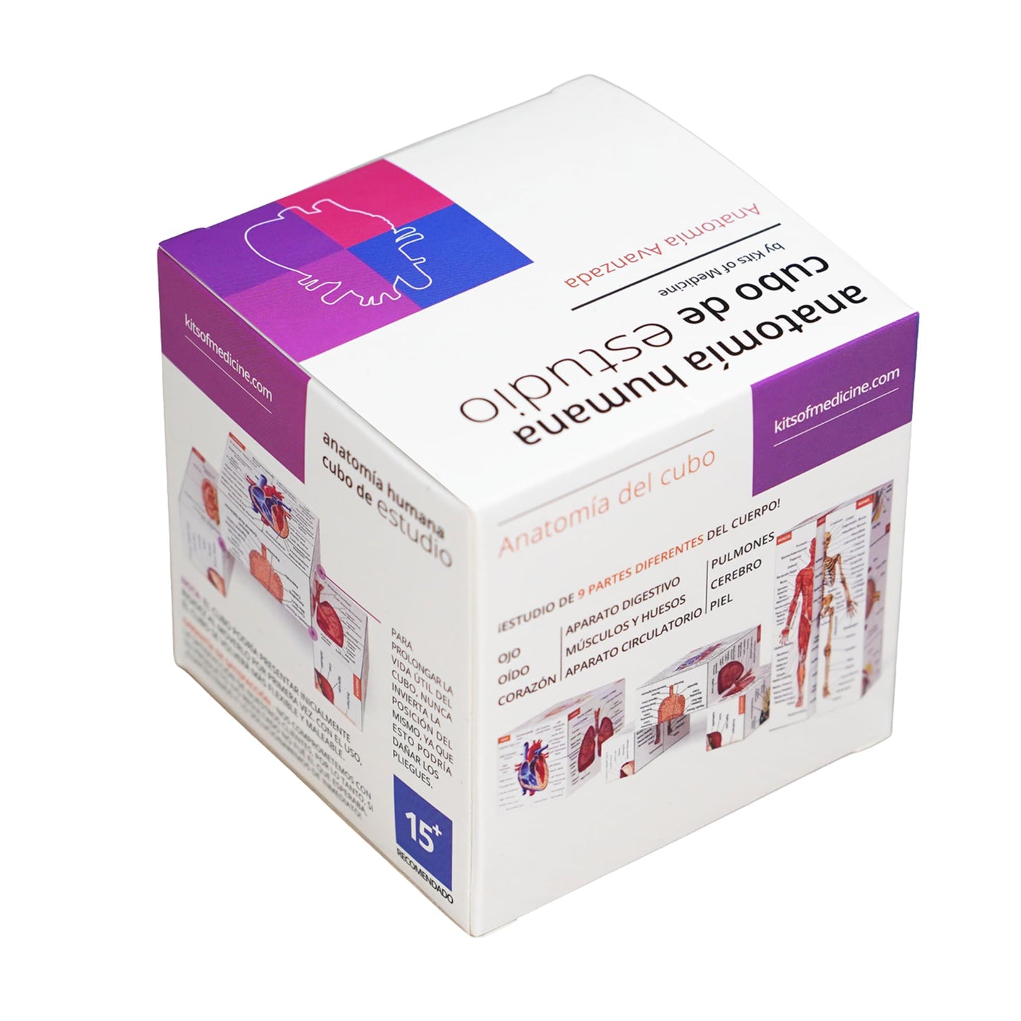 Cubo de Anatomía Humana – El Chuletario Definitivo en tu Mano