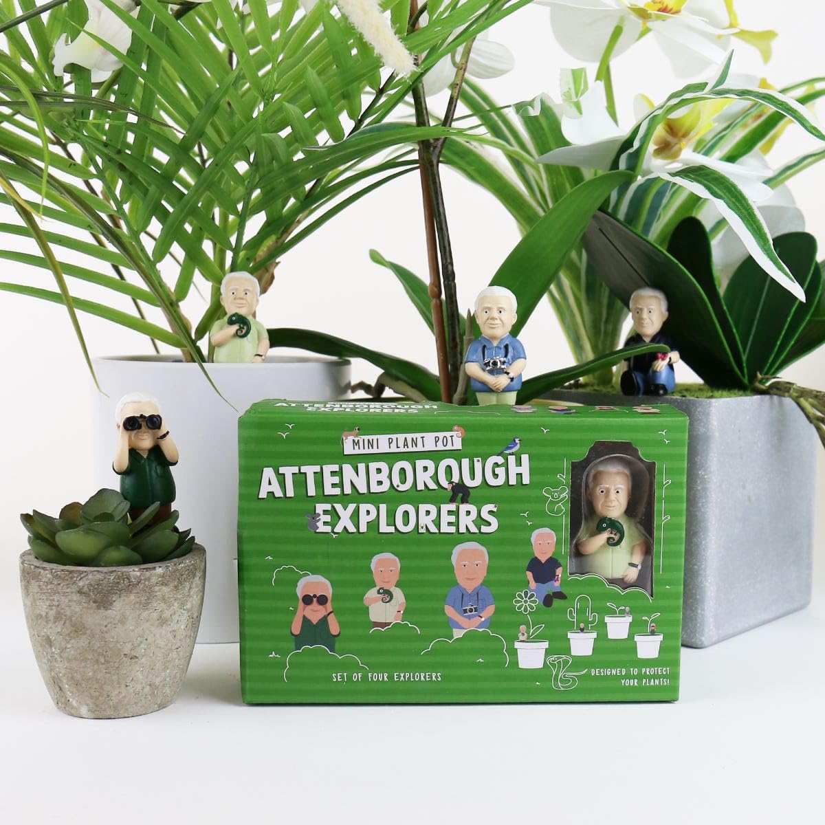 Mini exploradores Attenborough – Marcadores decorativos para macetas