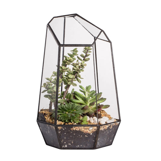 NCYP Terrario de Forma geométrica de Prisma, de Cristal, Irregular, 25 cm de Altura, de sobremesa, para Plantas suculentas, helechos y Musgo(Solo Terrario, No Incluye Plantas)