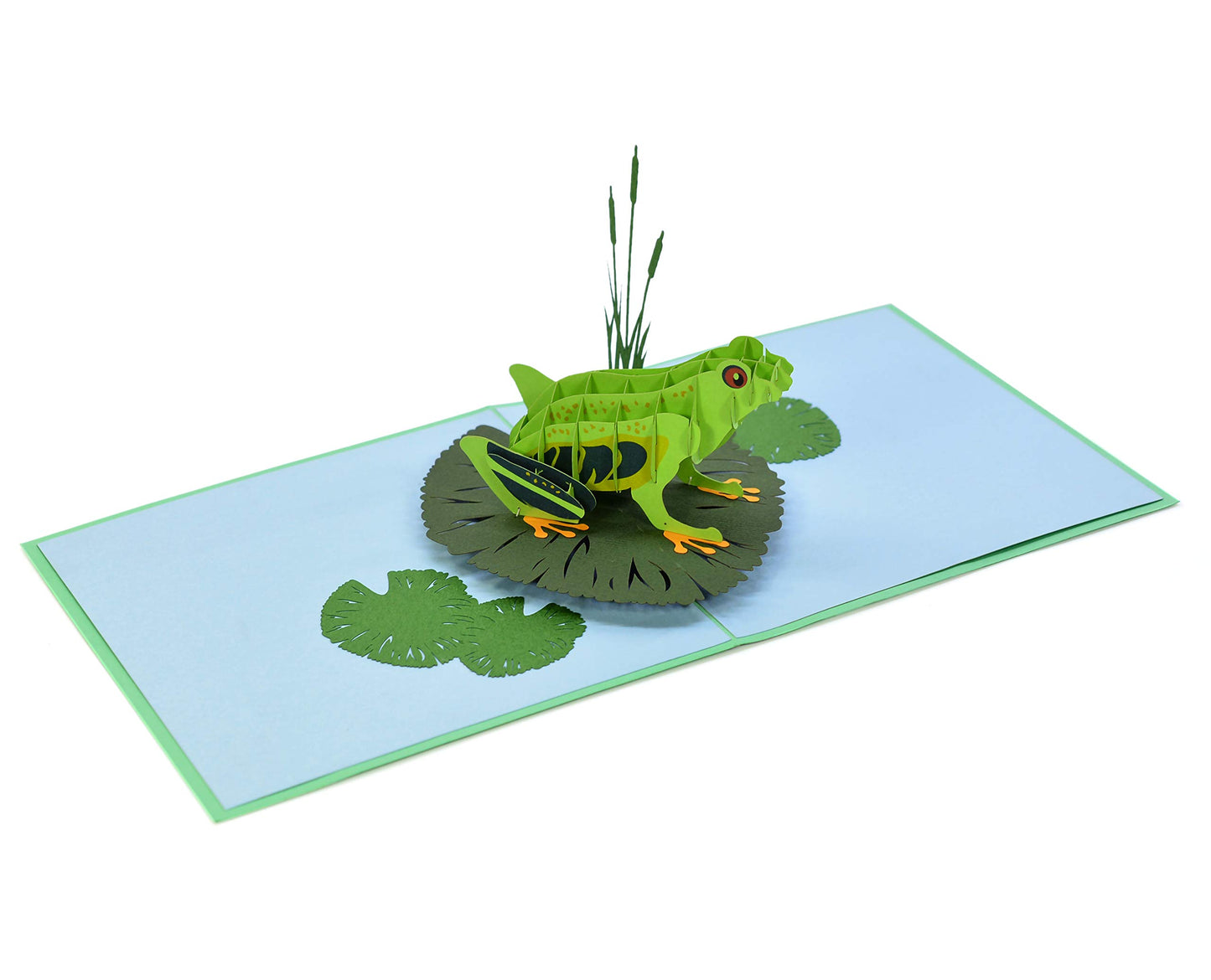 CUTPOPUP Rana - 3D Tarjeta Cumpleaños, Tarjetas Dia de La Madre, Tarjeta Dia del Padre, Regalos Originales Para Mujer, Regalos Para Mujer (Frog) US8-AN078ES