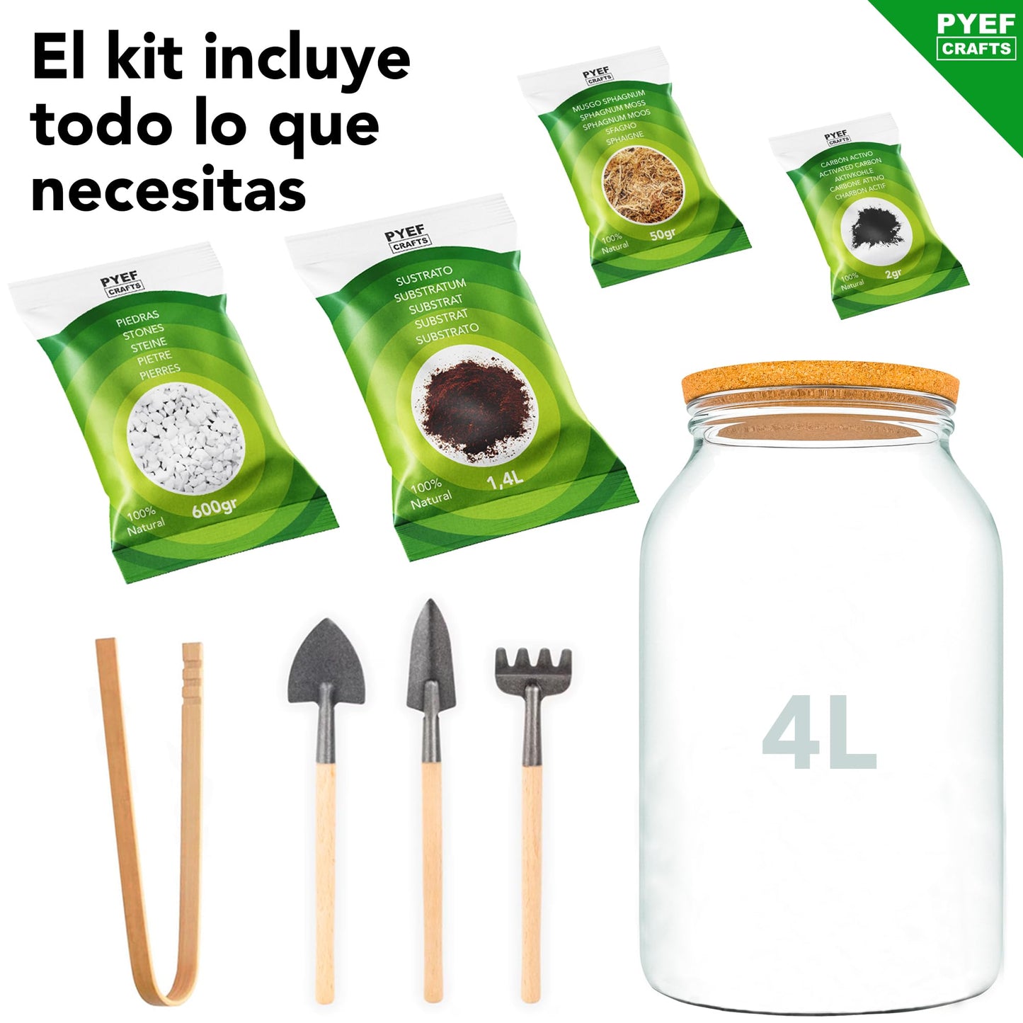 PYEF CRAFTS Kit Terrario Plantas XL - DIY Kit con Frasco Grande Terrario Cristal Plantas - Ecosistema Cerrado Plantas para Jardin Eterno - Terrario Plantas Ecosistema - Sin Planta (Kit con Frasco 4L)