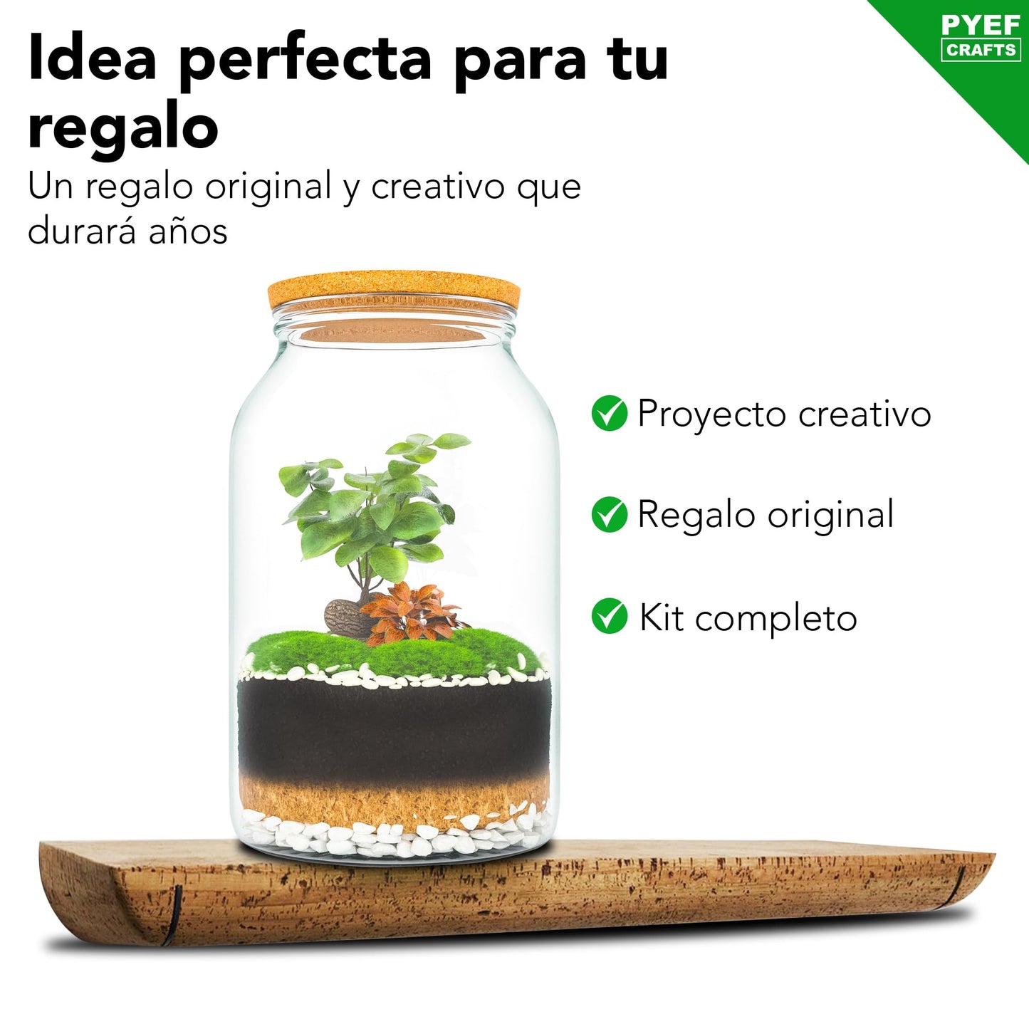 PYEF CRAFTS Kit Terrario Plantas XL - DIY Kit con Frasco Grande Terrario Cristal Plantas - Ecosistema Cerrado Plantas para Jardin Eterno - Terrario Plantas Ecosistema - Sin Planta (Kit con Frasco 4L)