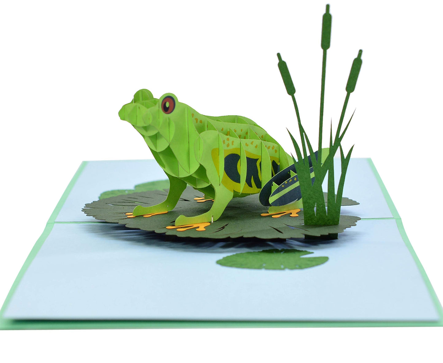 CUTPOPUP Rana - 3D Tarjeta Cumpleaños, Tarjetas Dia de La Madre, Tarjeta Dia del Padre, Regalos Originales Para Mujer, Regalos Para Mujer (Frog) US8-AN078ES