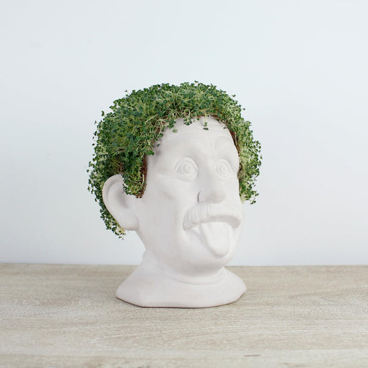 Maceta Einstein Chia – Ideas que brotan del genio