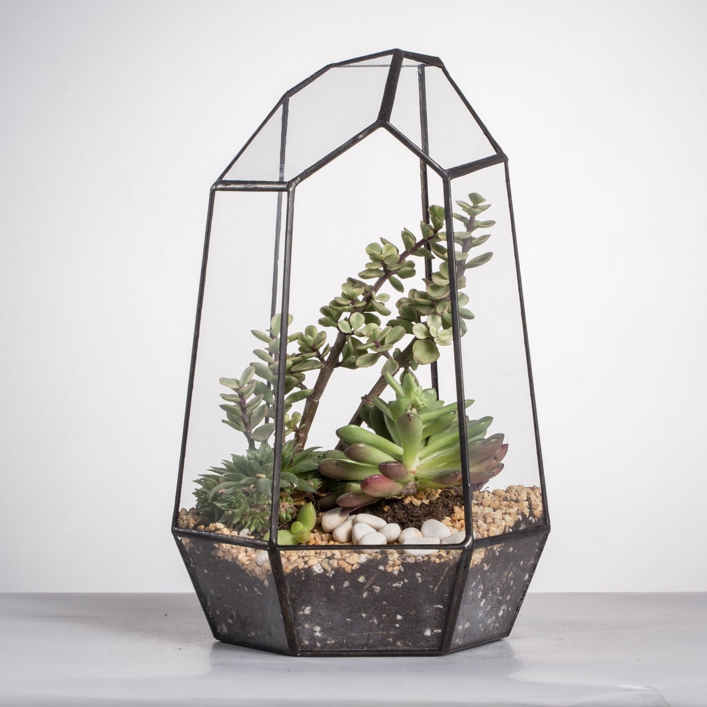 NCYP Terrario de Forma geométrica de Prisma, de Cristal, Irregular, 25 cm de Altura, de sobremesa, para Plantas suculentas, helechos y Musgo(Solo Terrario, No Incluye Plantas)