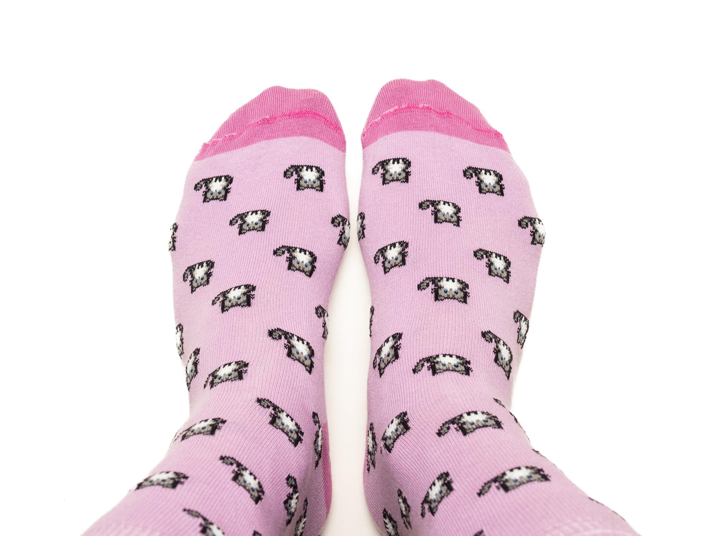 Calcetines gatos – Zarpazos suaves para tus pies