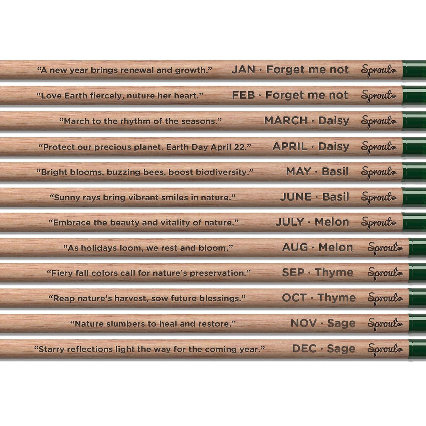 Lápices Plantables Everyday Earth – Pequeñas acciones que germinan en cambio