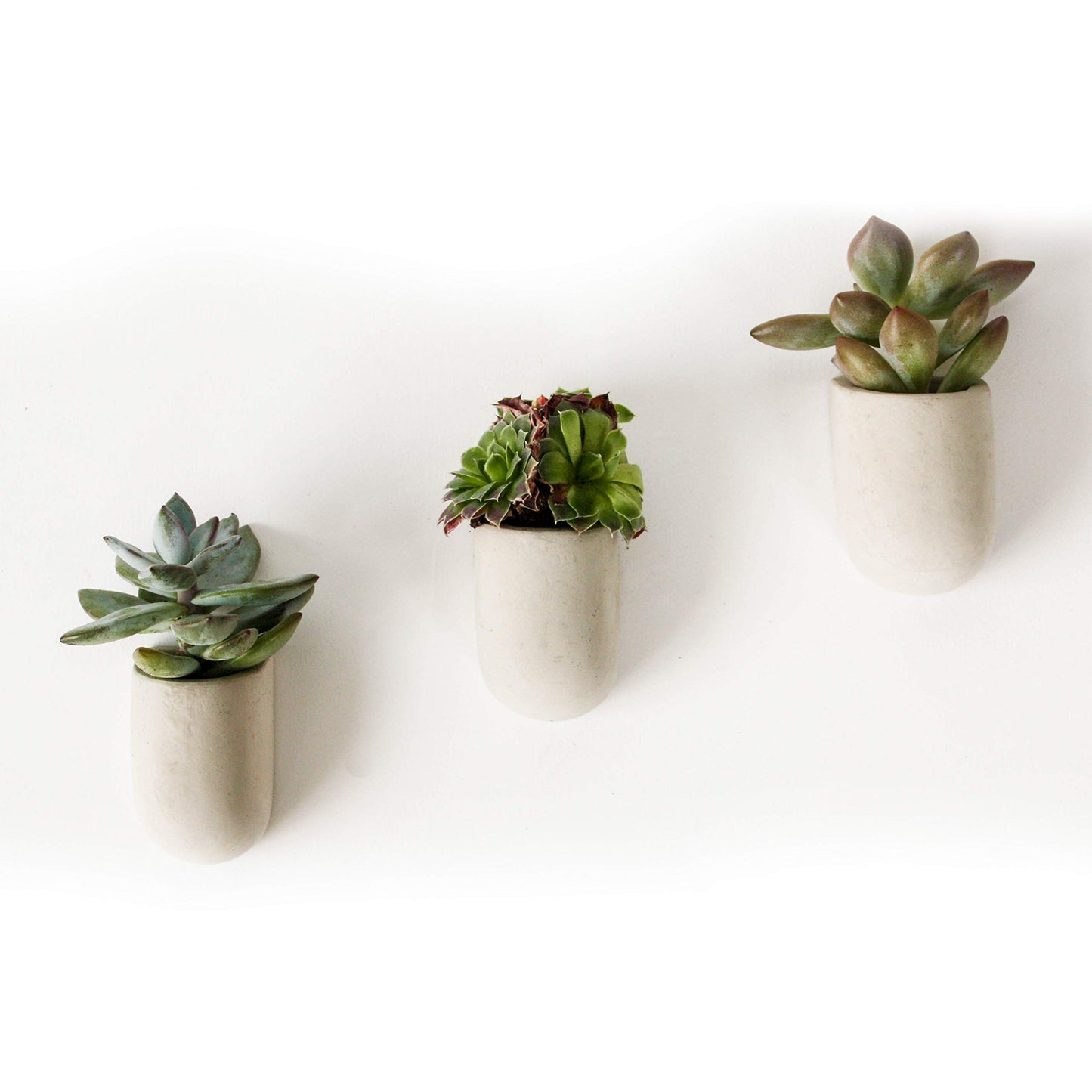 Macetas magnéticas – Set de 3 macetas para nevera