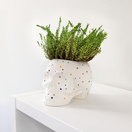 Macetero calavera con lunares de colores – Misterio y vida para tus plantas