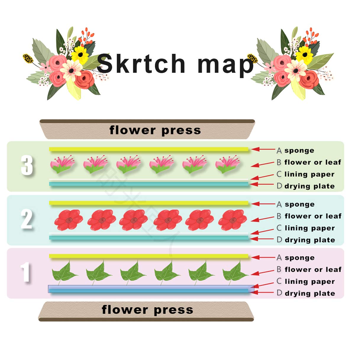 Kit prensa de flores – Conserva pétalos con arte