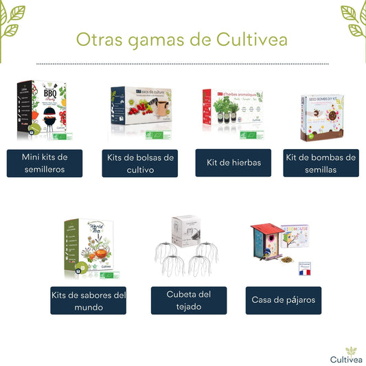 Kit completo de hierbas Cultivea – Crea tu huerto urbano ecológico en casa
