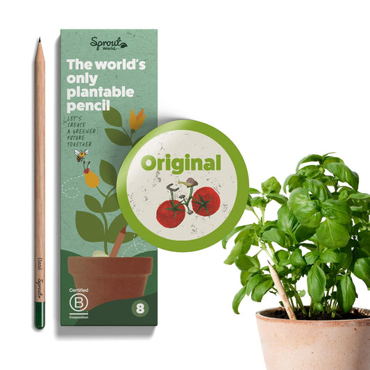 Lápices que crecen – Sprout con semilla en la punta