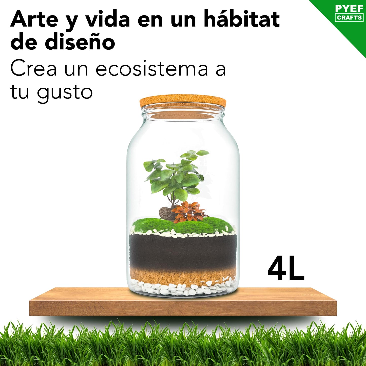 PYEF CRAFTS Kit Terrario Plantas XL - DIY Kit con Frasco Grande Terrario Cristal Plantas - Ecosistema Cerrado Plantas para Jardin Eterno - Terrario Plantas Ecosistema - Sin Planta (Kit con Frasco 4L)