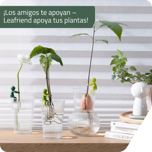 Leafriend – Soporte para brotes con forma de hoja