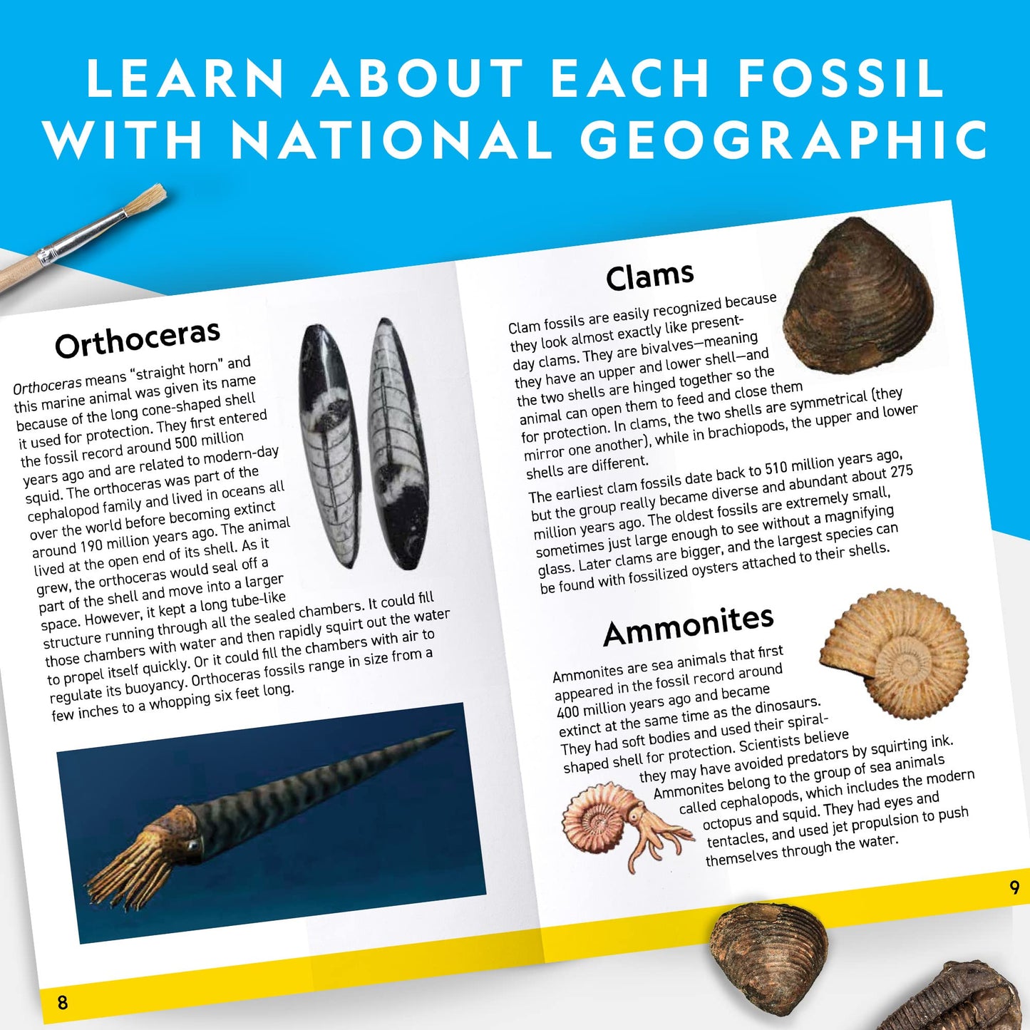 NATIONAL GEOGRAPHIC Mega Kit de Excavación de Fósiles - Excava 15 Fósiles Prehistóricos Genuinos, Juguetes Educativos, Regalo de Ciencia para Niños (Exclusivo de Amazon)