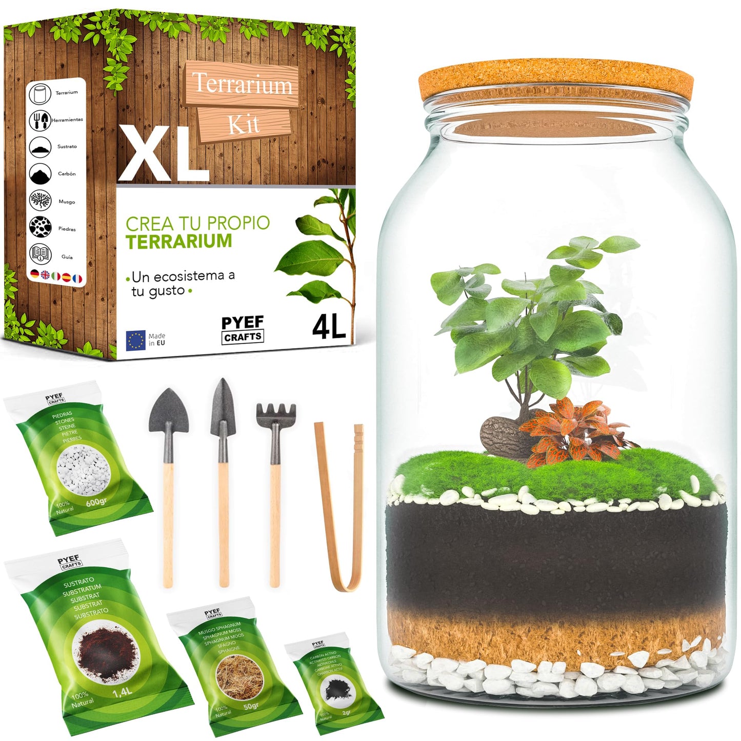 PYEF CRAFTS Kit Terrario Plantas XL - DIY Kit con Frasco Grande Terrario Cristal Plantas - Ecosistema Cerrado Plantas para Jardin Eterno - Terrario Plantas Ecosistema - Sin Planta (Kit con Frasco 4L)