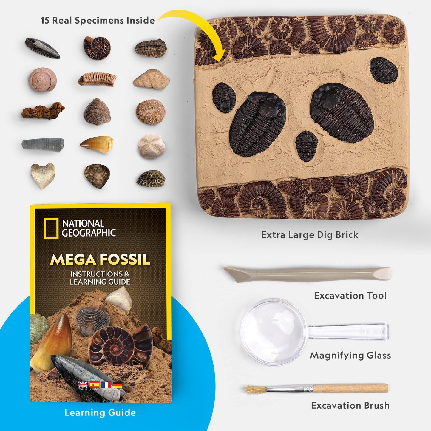 NATIONAL GEOGRAPHIC Mega Kit de Excavación de Fósiles - Excava 15 Fósiles Prehistóricos Genuinos, Juguetes Educativos, Regalo de Ciencia para Niños (Exclusivo de Amazon)