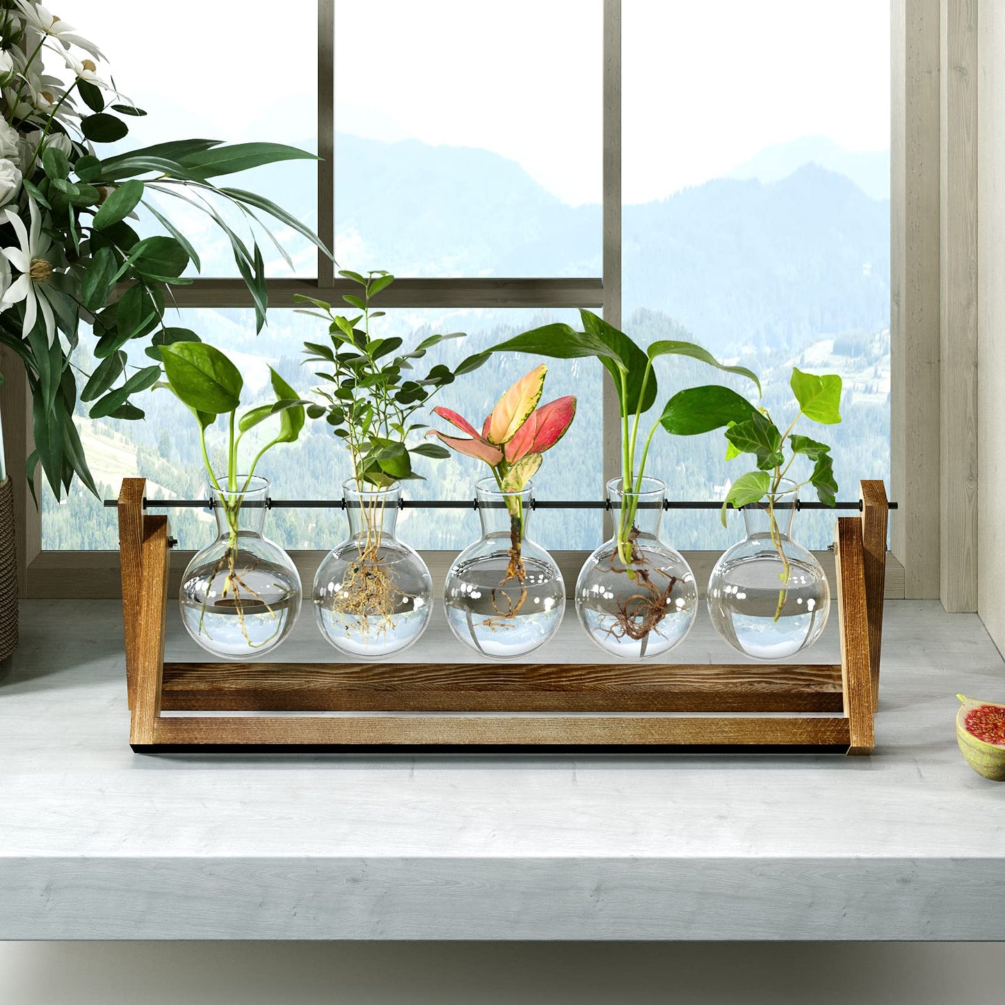 Estación De Propagación para Plantas,Terrario con Soporte Madera Jarrón Hidropónica Florero Cristal，Jarrones Vidrio Macetas con 5 Bombillas para Interior Decoración Mesa Oficina Casa Jardín