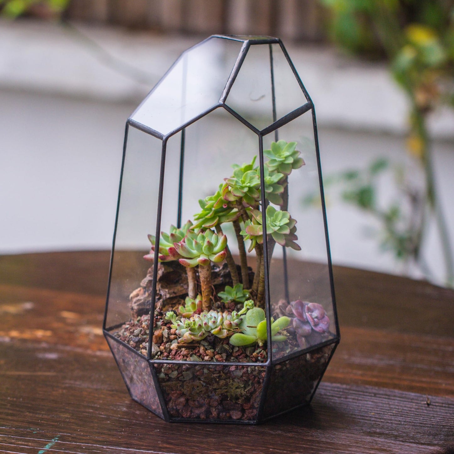 NCYP Terrario de Forma geométrica de Prisma, de Cristal, Irregular, 25 cm de Altura, de sobremesa, para Plantas suculentas, helechos y Musgo(Solo Terrario, No Incluye Plantas)