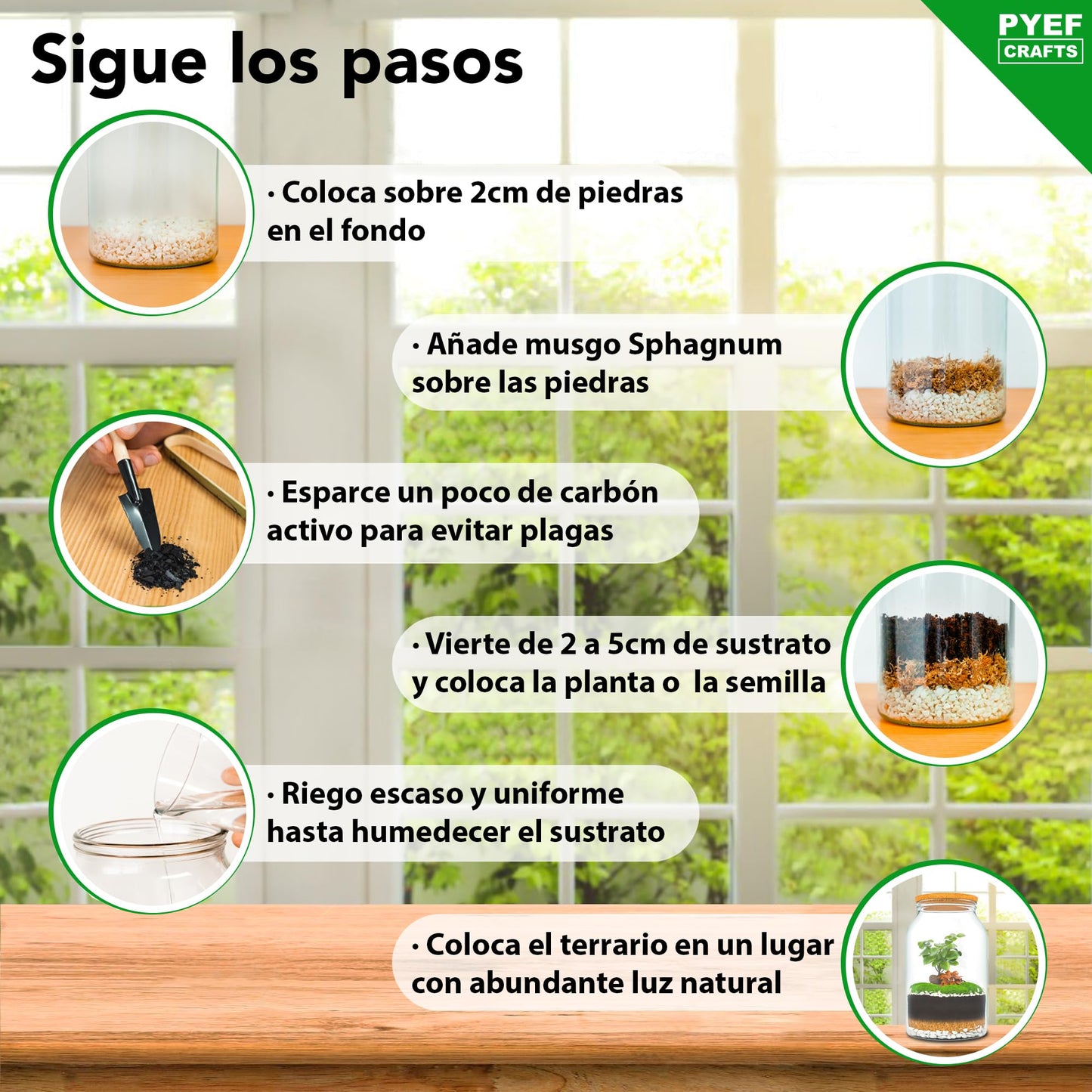 PYEF CRAFTS Kit Terrario Plantas XL - DIY Kit con Frasco Grande Terrario Cristal Plantas - Ecosistema Cerrado Plantas para Jardin Eterno - Terrario Plantas Ecosistema - Sin Planta (Kit con Frasco 4L)