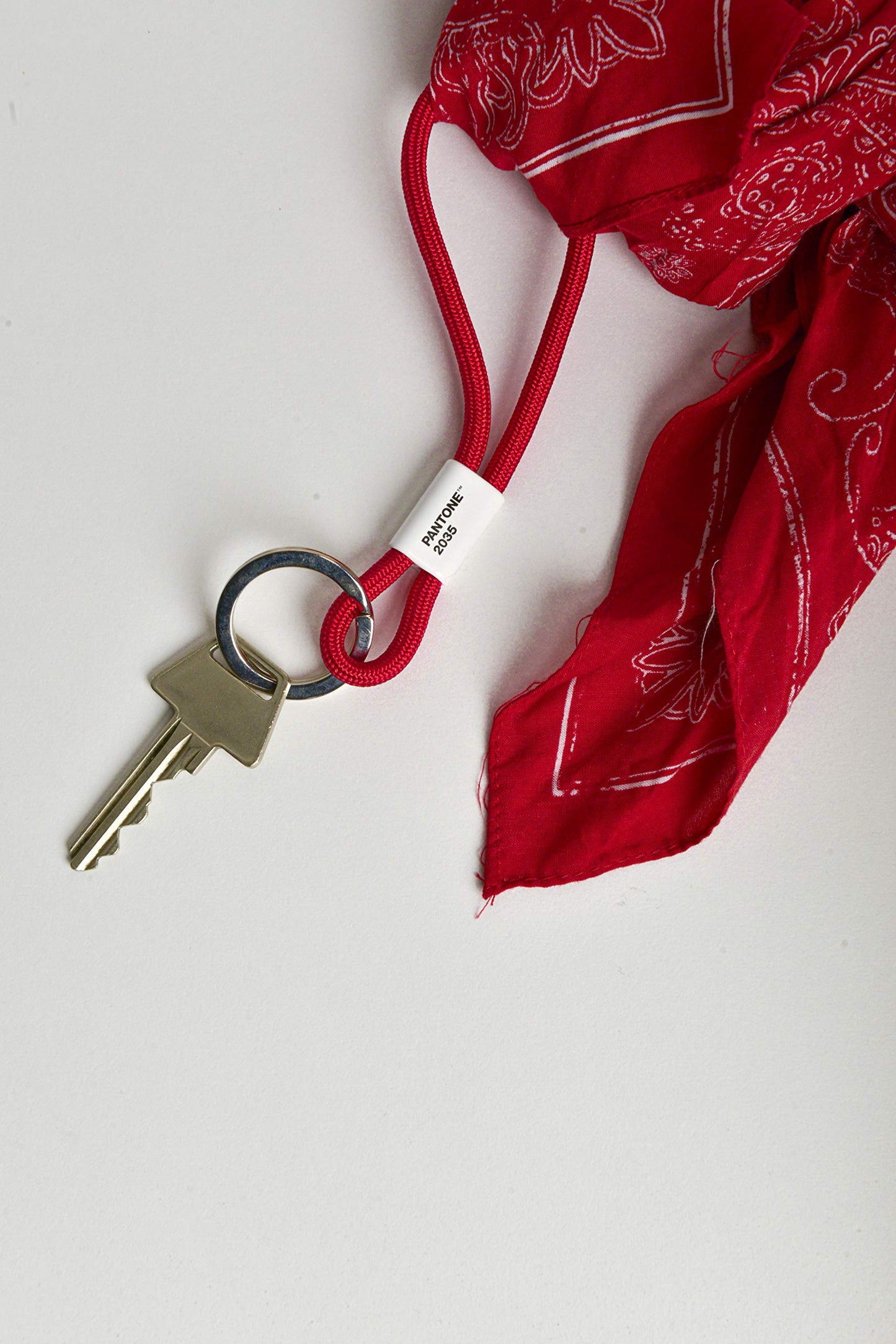 Pantone Key Chain Llavero 18 centímetros Naranja (Living Coral 16-1546) (17864)