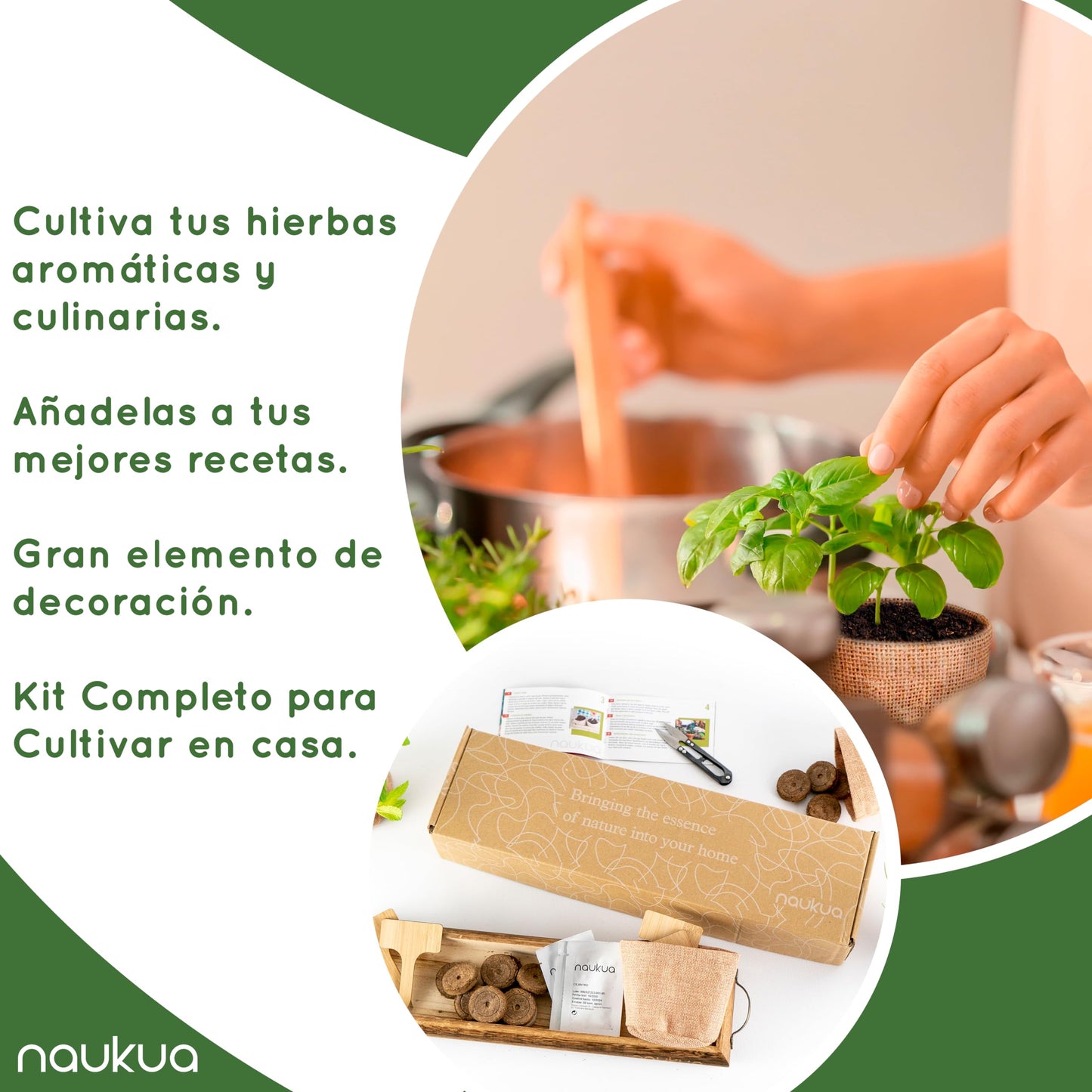 NAUKUA Mini Huerto Urbano Vintage de Plantas Aromáticas y Culinarias (Tomillo Albahaca Perejil y Cilantro) - Semillas Orgánicas de España - Kit Completo para Cultivar Tus Hierbas Frescas en Casa