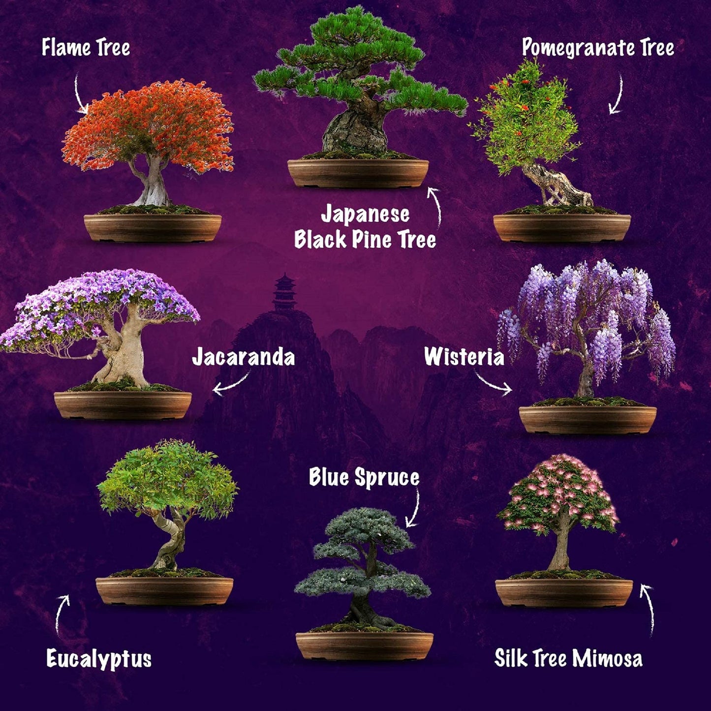 Kit de Árbol Bonsái | Cultiva tus propias 8 hermosas variedades de árboles Bonsái en casa| Kit completo de cultivo - Adecuado para principiantes y expertos - Cultiva plantas de interior