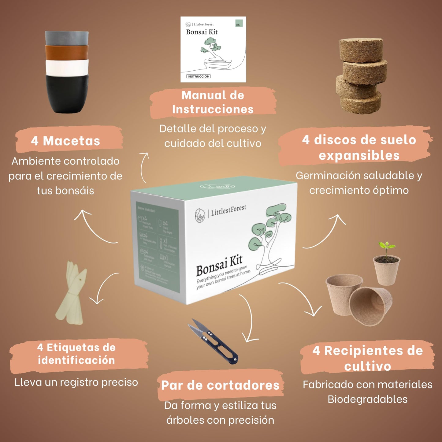 LittlestForest - Kit Bonsai para Principantes - Todo lo que necesitas para cultivar tus propias plantas bonsais naturales interior y exterior. - Semillas y herramientas bonsai