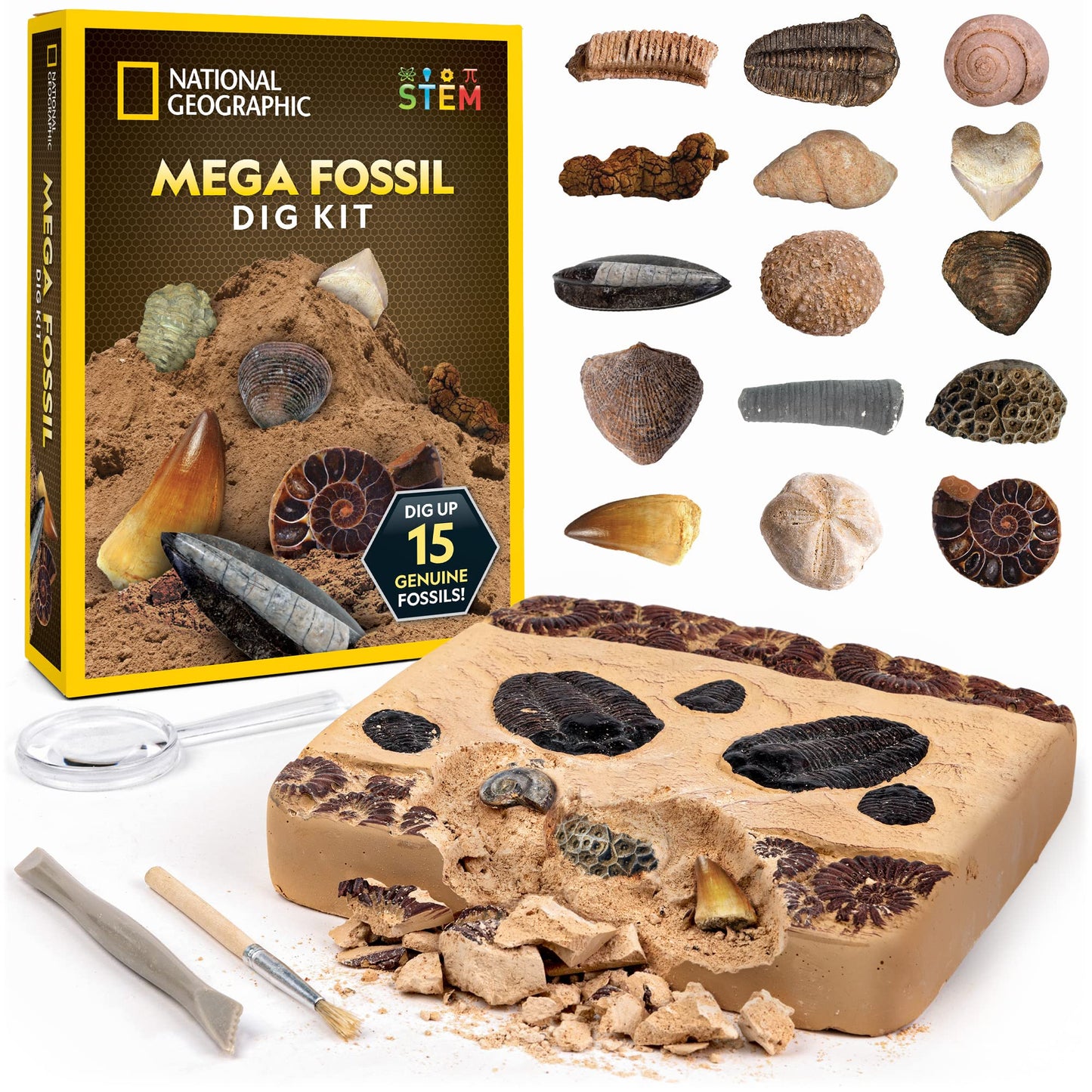 NATIONAL GEOGRAPHIC Mega Kit de Excavación de Fósiles - Excava 15 Fósiles Prehistóricos Genuinos, Juguetes Educativos, Regalo de Ciencia para Niños (Exclusivo de Amazon)