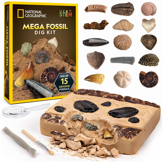 NATIONAL GEOGRAPHIC Mega Kit de Excavación de Fósiles - Excava 15 Fósiles Prehistóricos Genuinos, Juguetes Educativos, Regalo de Ciencia para Niños (Exclusivo de Amazon)