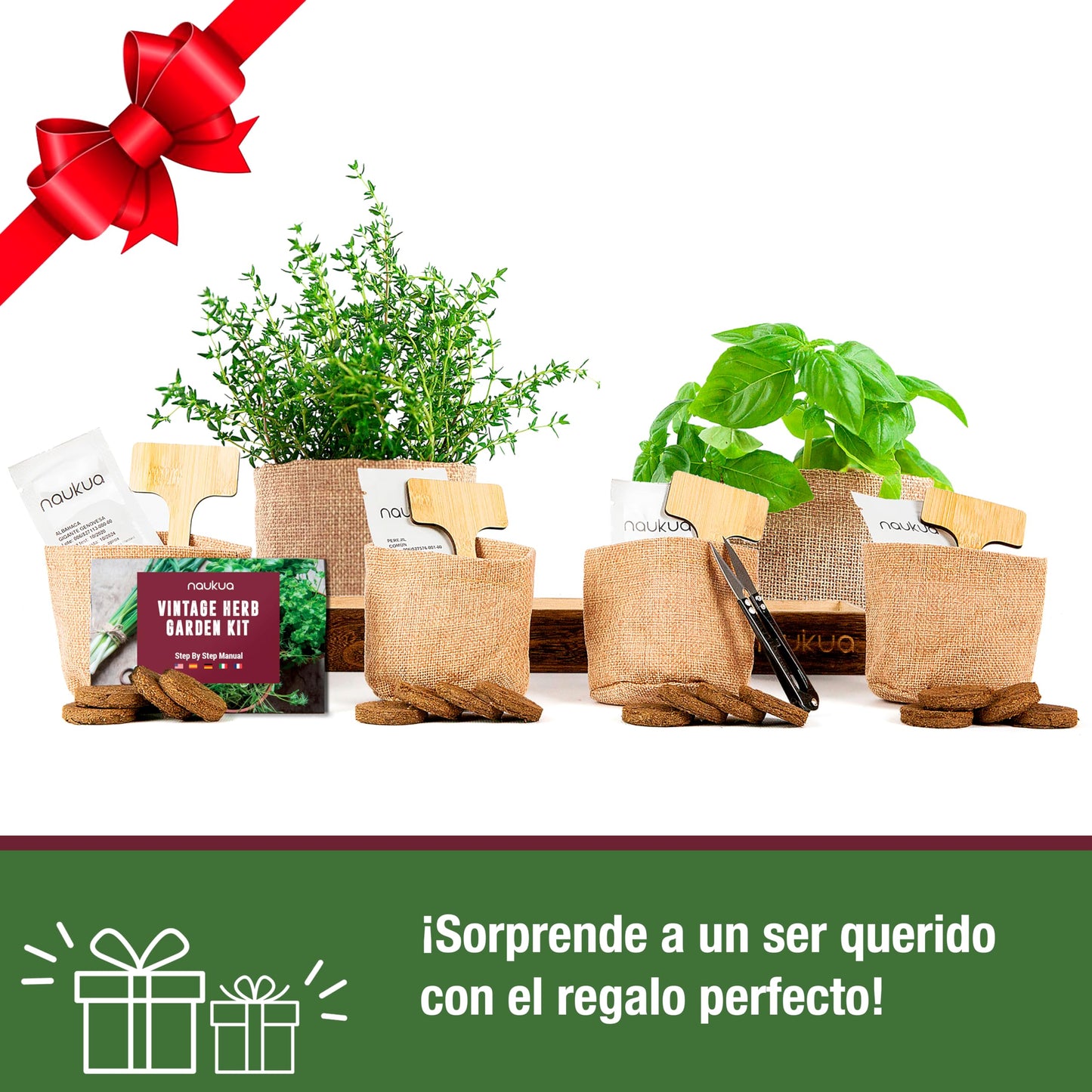 NAUKUA Mini Huerto Urbano Vintage de Plantas Aromáticas y Culinarias (Tomillo Albahaca Perejil y Cilantro) - Semillas Orgánicas de España - Kit Completo para Cultivar Tus Hierbas Frescas en Casa