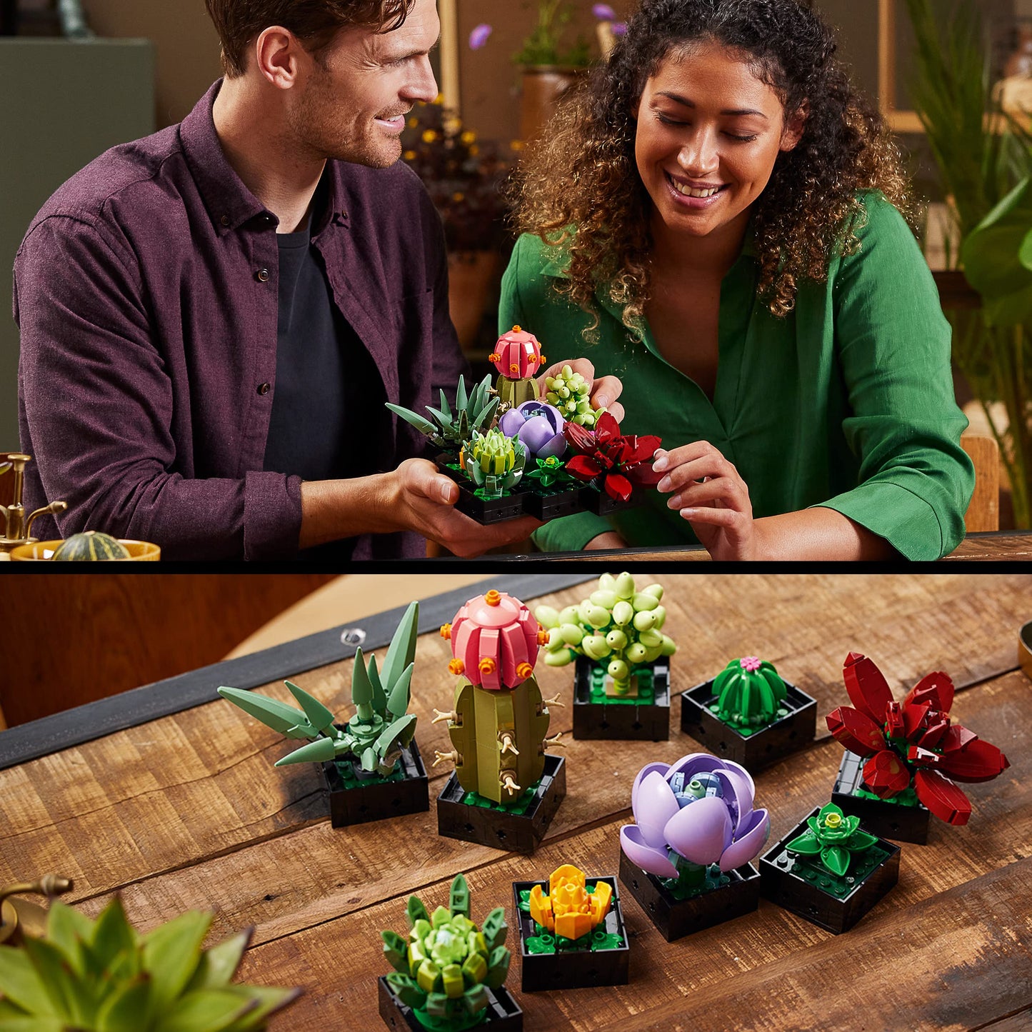 LEGO jardín Suculentas – 9 plantas que nunca se marchitan