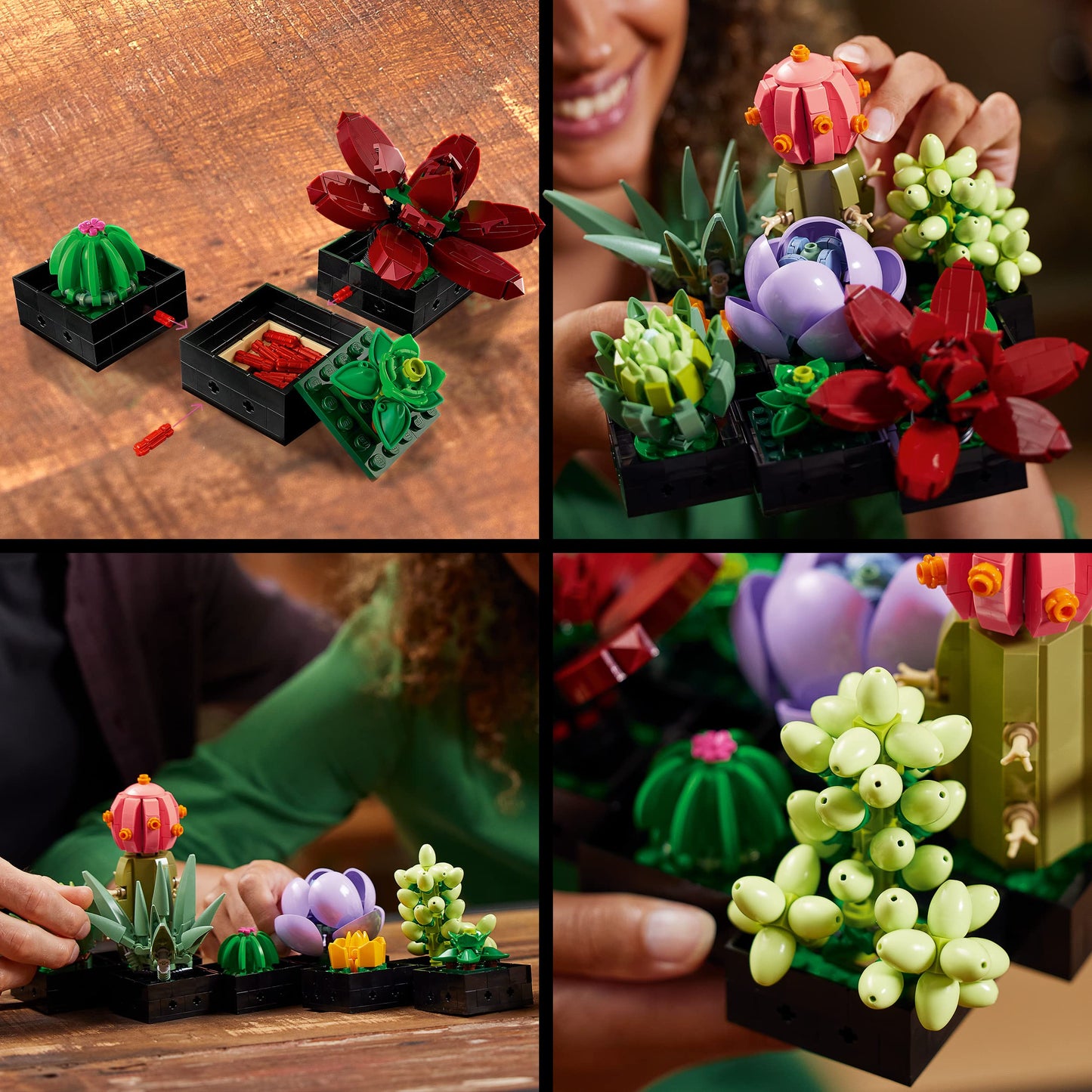 LEGO jardín Suculentas – 9 plantas que nunca se marchitan
