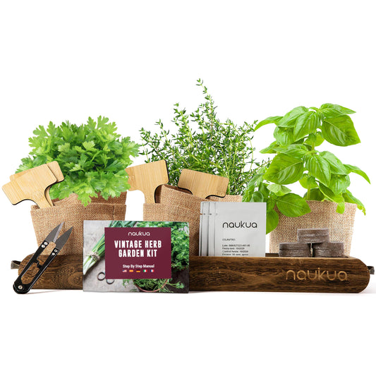 NAUKUA Mini Huerto Urbano Vintage de Plantas Aromáticas y Culinarias (Tomillo Albahaca Perejil y Cilantro) - Semillas Orgánicas de España - Kit Completo para Cultivar Tus Hierbas Frescas en Casa