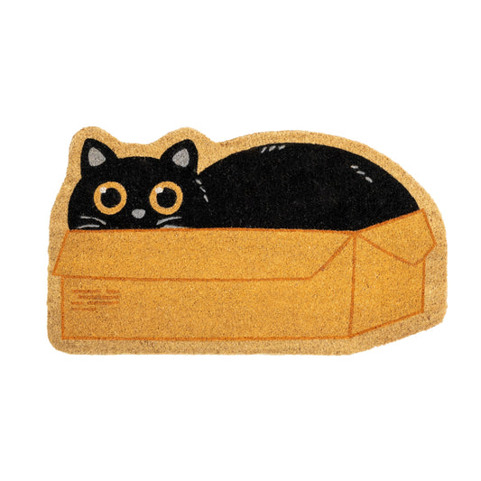 Felpudo caja gato – Curiosidad felina