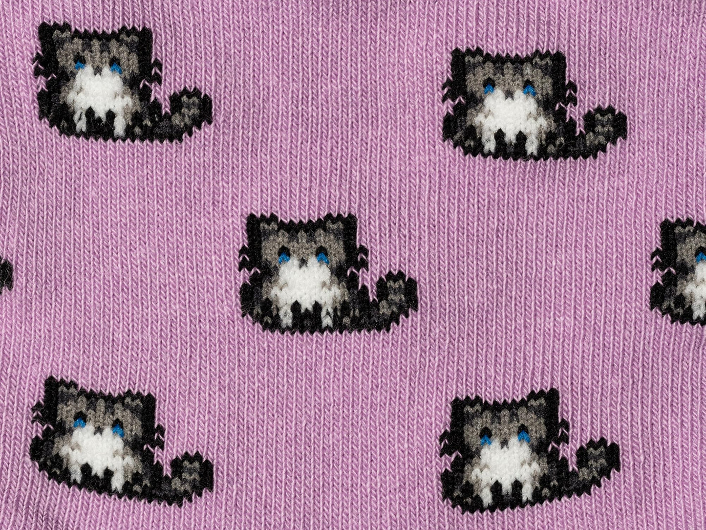 Calcetines gatos – Zarpazos suaves para tus pies