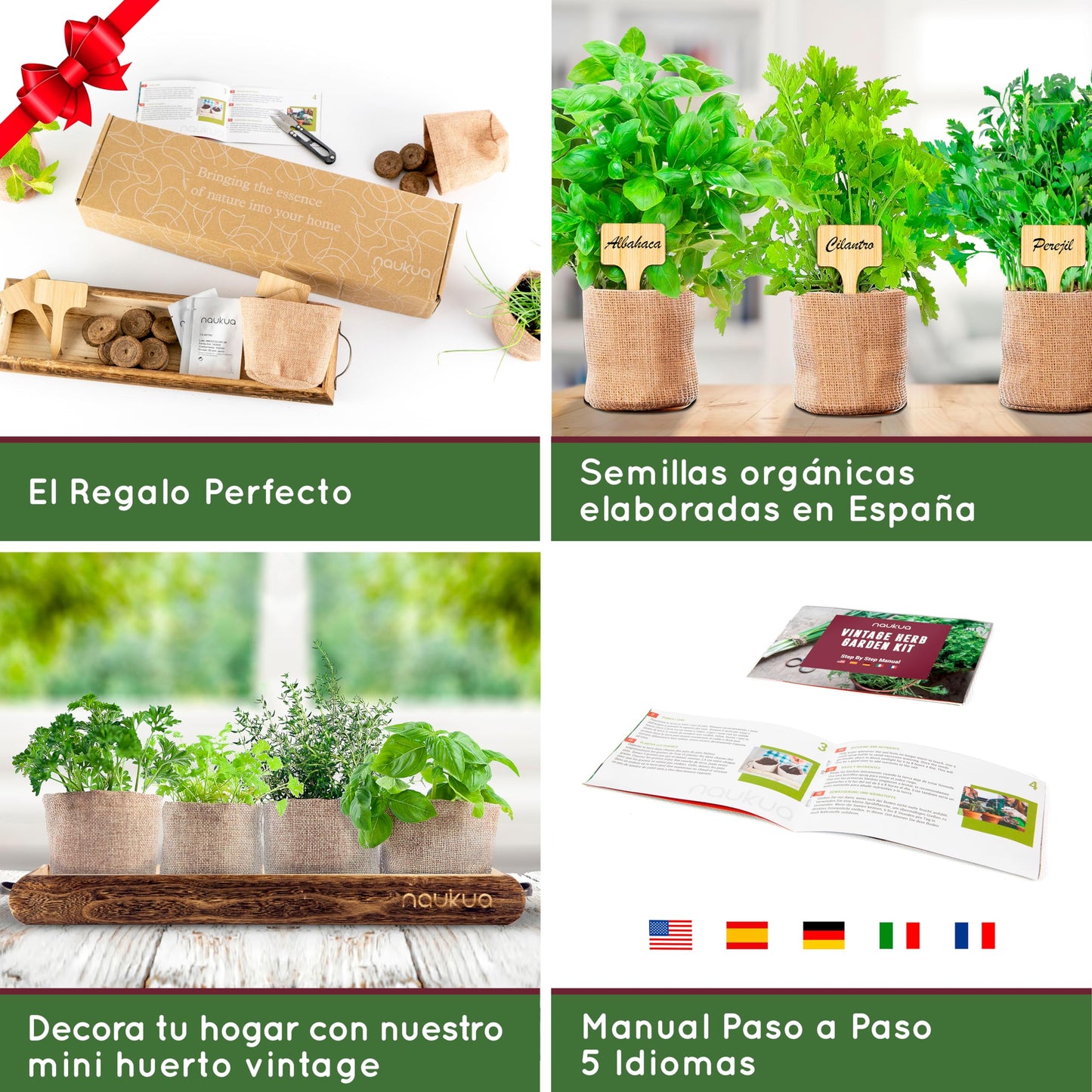 NAUKUA Mini Huerto Urbano Vintage de Plantas Aromáticas y Culinarias (Tomillo Albahaca Perejil y Cilantro) - Semillas Orgánicas de España - Kit Completo para Cultivar Tus Hierbas Frescas en Casa