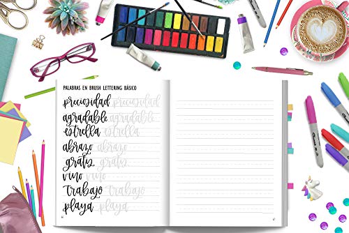 Guía de caligrafía moderna – Tu primer paso en el lettering