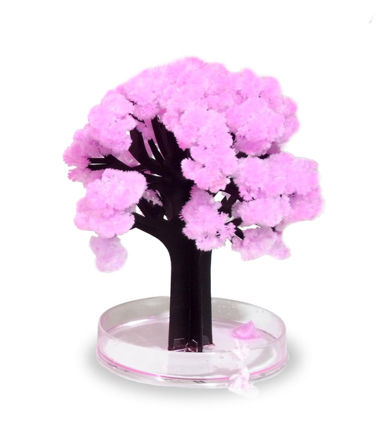 Árbol mágico Sakura – Florece con agua y asombro japonés